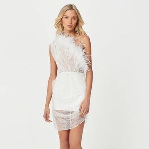 Par Violet End Scene Feather Sequin Dress